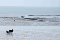 Pêcherie de Julouville1 © JB Quentin